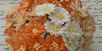 Wild Orchid Craft Cosmos Daisy Stem Flowers Mixed White/Orange 
