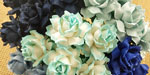 Wild Orchid Craft 25mm Cottage Roses Mixed Blue Tone