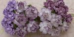 Wild Orchid Craft 25mm Cottage Roses Mixed Purple/Lilac 