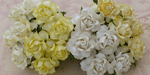 Wild Orchid Craft 25mm Cottage Roses Mixed White/Cream 