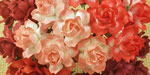Wild Orchid Craft 25mm Cottage Roses Mixed Red 