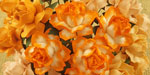 Wild Orchid Craft 25mm Cottage Roses Mixed Peach/Orange RESTOCKED!