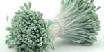 Double Head Flat Mini Stamens Green