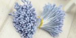 Double Head Mini Stamens Blue RESTOCKED!