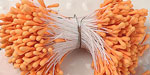 Double Head Mini Stamens Orange Creamsicle NEW COLOR!