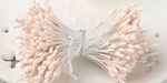Double Head Mini Stamens Ivory NEW COLOR!