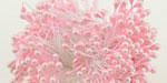 Double Head Stamens Light Pink