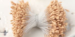 Double Head Mini Stamens Oatmeal NEW COLOR!