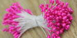 Double Head Stamens Hot Pink