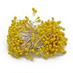 Double Head Stamens Yellow