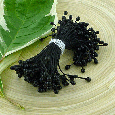 Double Head Stamens Black