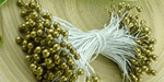 Double Head Stamens Gold RESTOCKED!