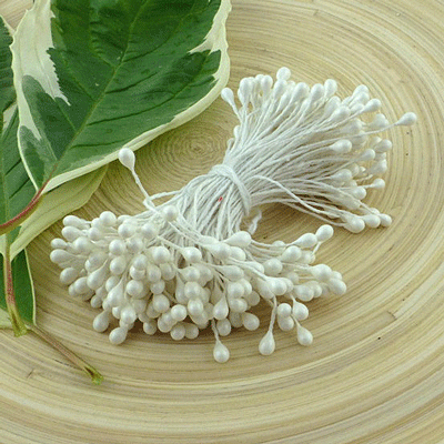 Double Head Stamens White