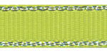 Grosgrain with Silver Edges Apple Green