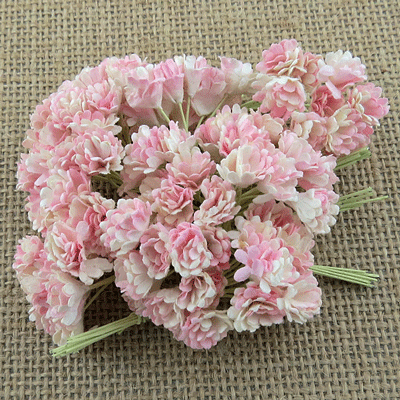 Wild Orchid Crafts Gypsophila 2-Tone Baby Pink/Ivory SALE!