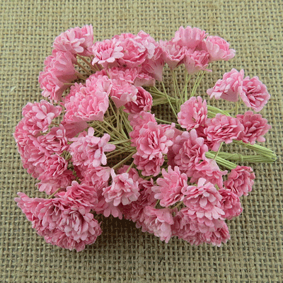 Wild Orchid Crafts Gypsophila Baby Pink SALE!