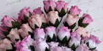 10 x 12 mm Rose Buds Mixed Pink Tone