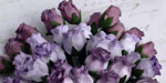 10 x 12 mm Rose Buds Mixed Purple Tone