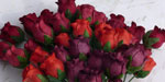 10 x 12 mm Rose Buds Mixed Red Tone