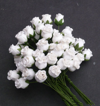 10 x 12 mm Rose Buds White 