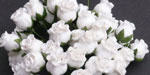 10 x 12 mm Rose Buds White RESTOCKED!
