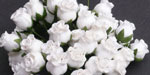 10 x 12 mm Rose Buds White 