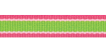 Lime w/Bright Pink Edges Grosgrain