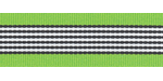 Lime Zebra Stripe Grosgrain