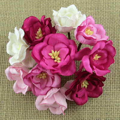 Wild Orchid Craft Magnolias Mixed Pink 