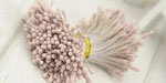 Double Head Mini Stamens Light Coffee RESTOCKED!