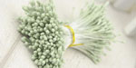 Double Head Mini Stamens Matcha Green RESTOCKED!