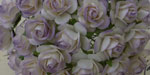 Wild Orchid Crafts Open Roses 2-Tone Pale Lilac