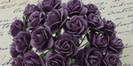 Wild Orchid Crafts Open Roses Purple