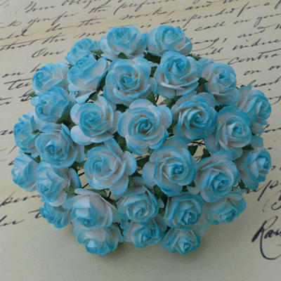 Wild Orchid Crafts Open Roses 2-Tone Light Turquoise