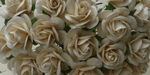 Wild Orchid Crafts Open Roses Deep Ivory