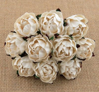 Peony Flowers Ivory