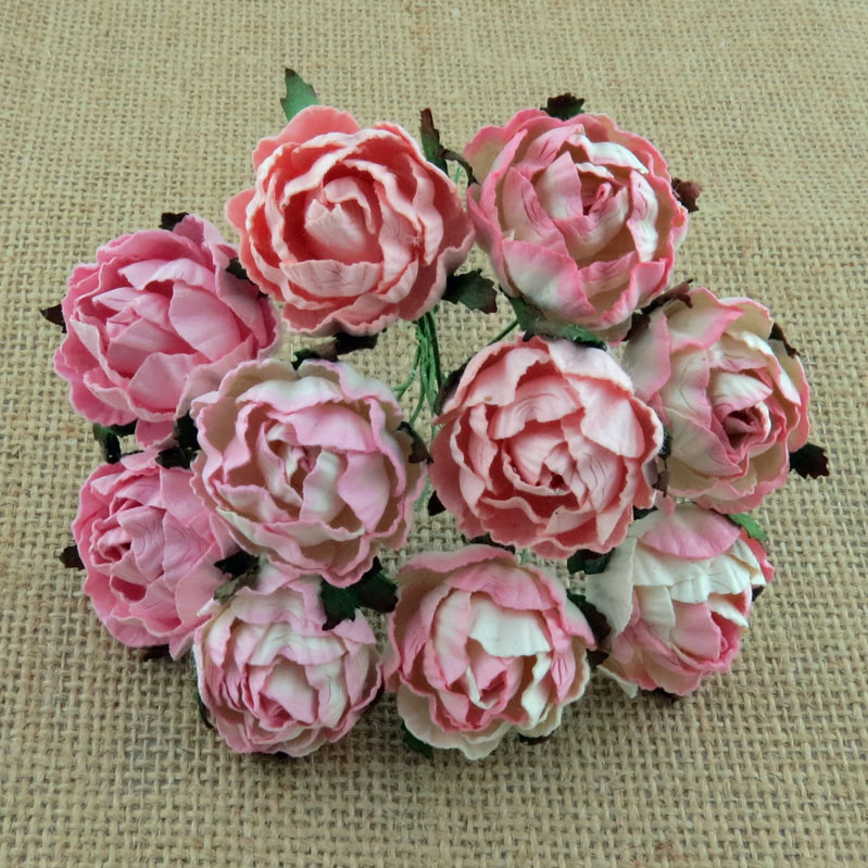 Peony Flowers Mixed Pink