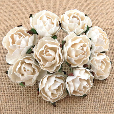 Peony Flowers White