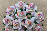 Wild Orchid Crafts Open Roses 2-Tone Pastel Rainbow 