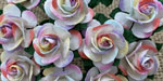 Wild Orchid Crafts Open Roses 2-Tone Pastel Rainbow 