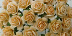 Wild Orchid Crafts Open Roses Autumn Gold