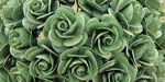 Wild Orchid Crafts Open Roses Moss Green