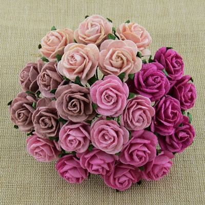 Wild Orchid Craft 20mm Open Roses Mixed Pink 