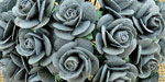 Wild Orchid Crafts Open Roses Parma Gray