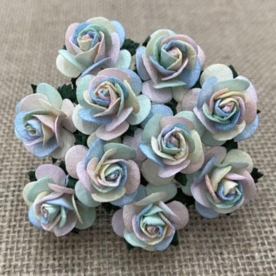 Wild Orchid Crafts Open Roses Pastel Rainbow 