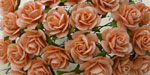 Wild Orchid Crafts Open Roses Peach