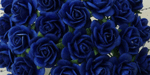 Wild Orchid Crafts Open Roses Royal Blue