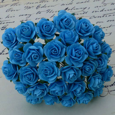 Wild Orchid Crafts Open Roses Turquoise