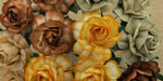 Wild Orchid Crafts 40mm Tea Roses Mixed Earth Tone