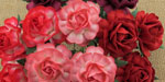 Wild Orchid Crafts 40mm Tea Roses Mixed Red